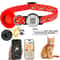 TripleSafety AirTag Integration Collar 6