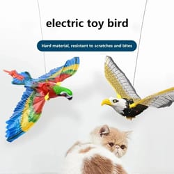 aero-dynamic hanging simulation bird teaser