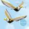 AeroDynamic Hanging Simulation Bird Teaser 3