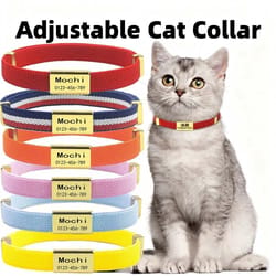 custom-engraved "signature" safety pet collar