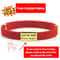 CustomEngraved Signature Safety Pet Collar 2