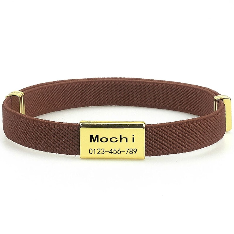 CustomEngraved Signature Safety Pet Collar 12