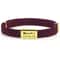 CustomEngraved Signature Safety Pet Collar 14