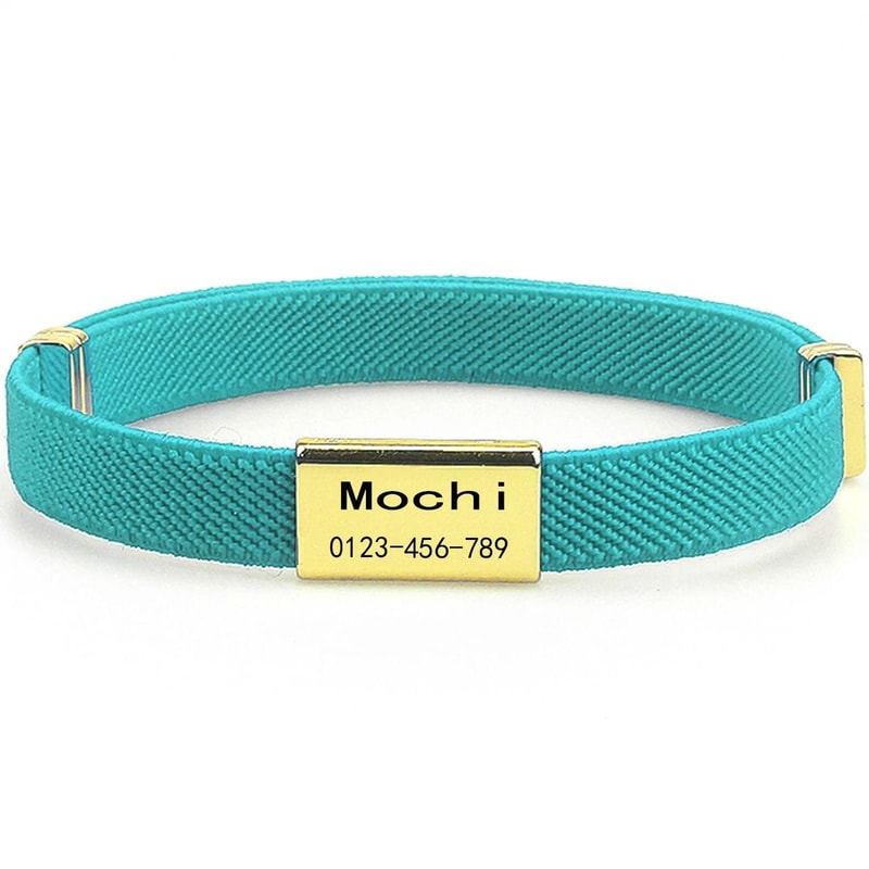 CustomEngraved Signature Safety Pet Collar 15
