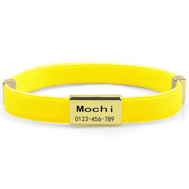 CustomEngraved Signature Safety Pet Collar 18