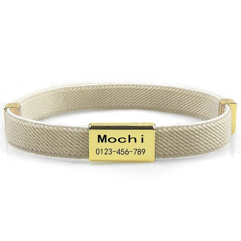 CustomEngraved Signature Safety Pet Collar 19