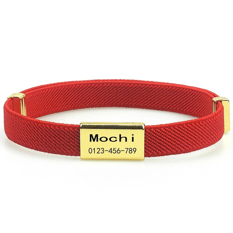 CustomEngraved Signature Safety Pet Collar 8