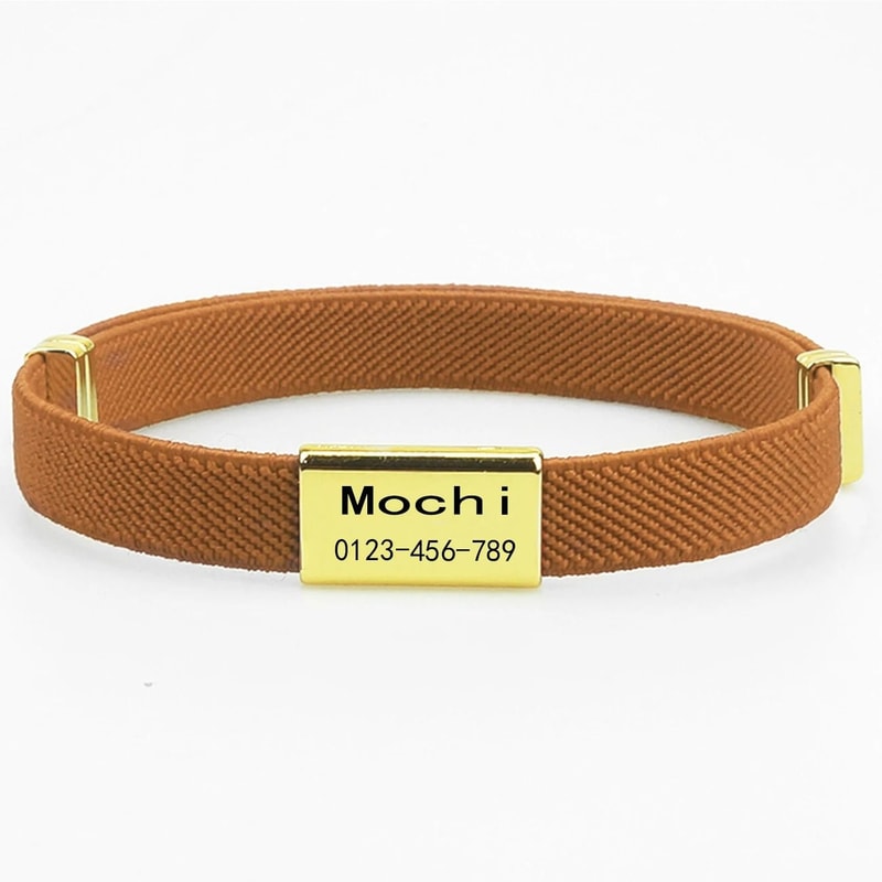 CustomEngraved Signature Safety Pet Collar 20