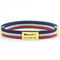 CustomEngraved Signature Safety Pet Collar 21