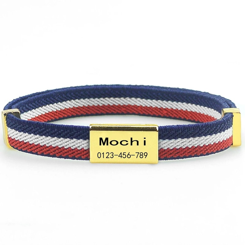 CustomEngraved Signature Safety Pet Collar 21