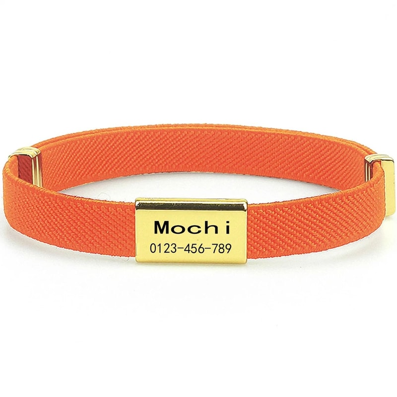 CustomEngraved Signature Safety Pet Collar 22