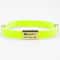 CustomEngraved Signature Safety Pet Collar 24