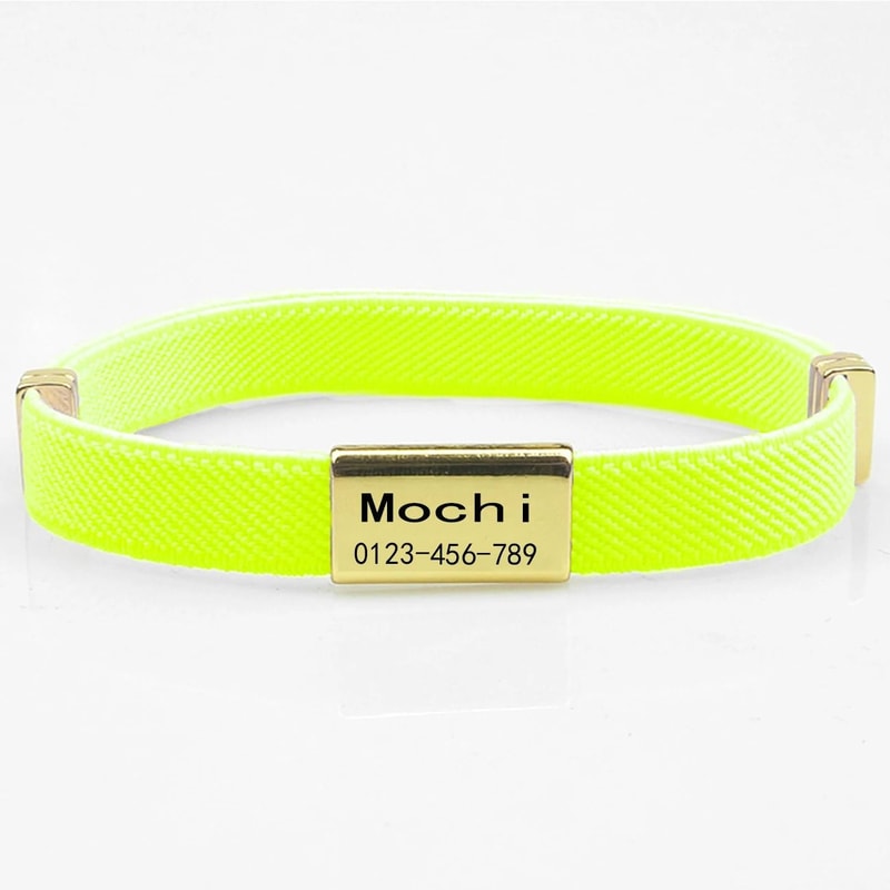 CustomEngraved Signature Safety Pet Collar 24
