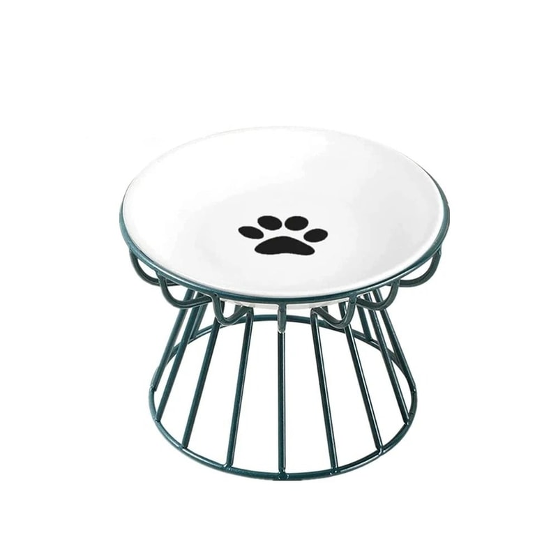 Orthopedic Elevated Ceramic Dining Station 9