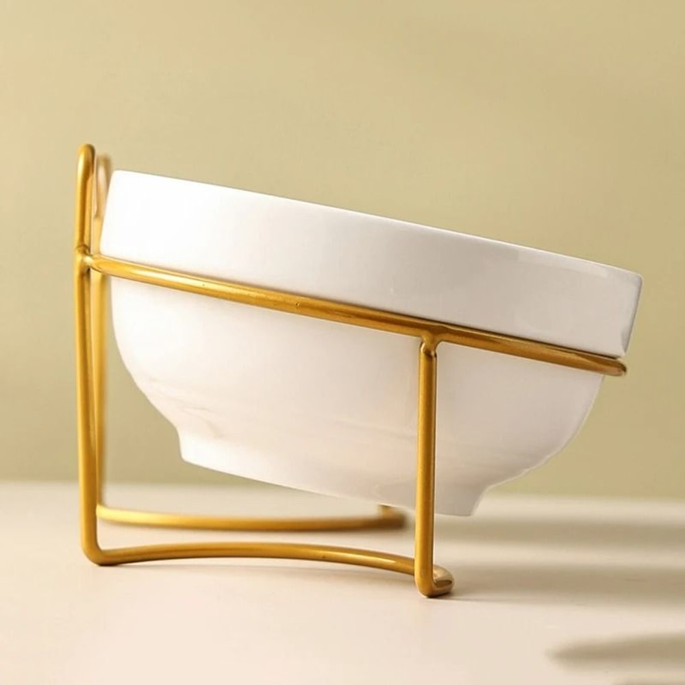 Orthopedic HighCapacity Ceramic Dining Collection 5