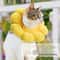 Sunflower SoftPlush Recovery Collar 3