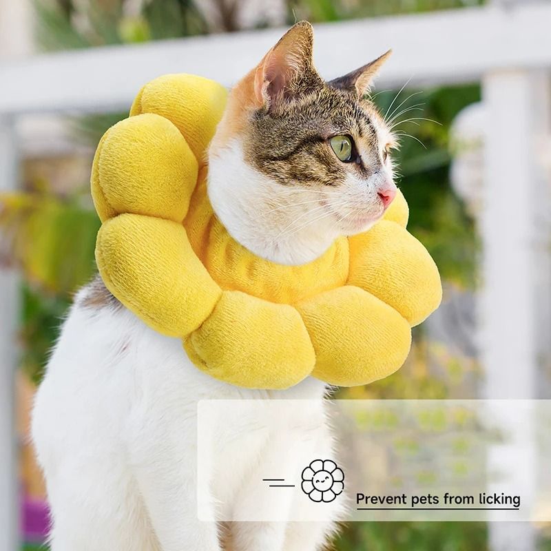 Sunflower SoftPlush Recovery Collar 3
