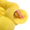 Sunflower SoftPlush Recovery Collar 4