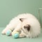 HandWoven Natural Cotton Tug Toss Knot Ball 4