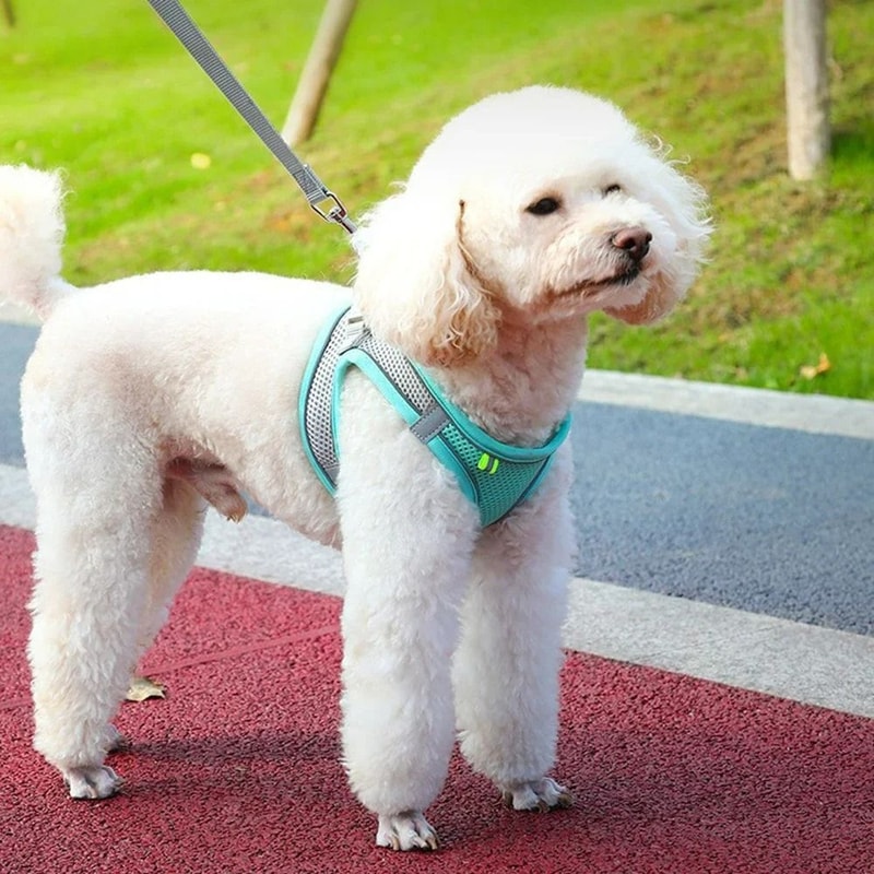 Breathable AirMesh Reflective Harness Leash Set 2