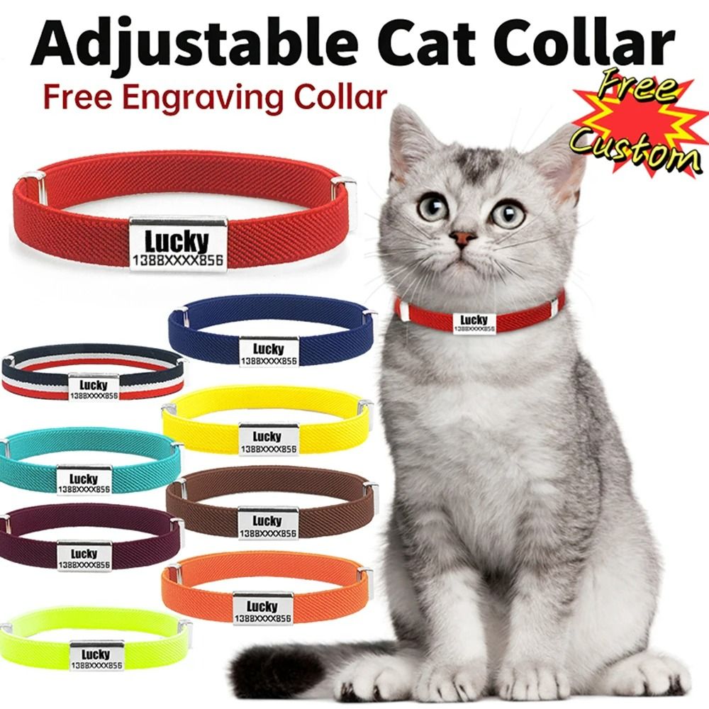 CustomEngraved SmartTag Safety Collar 0