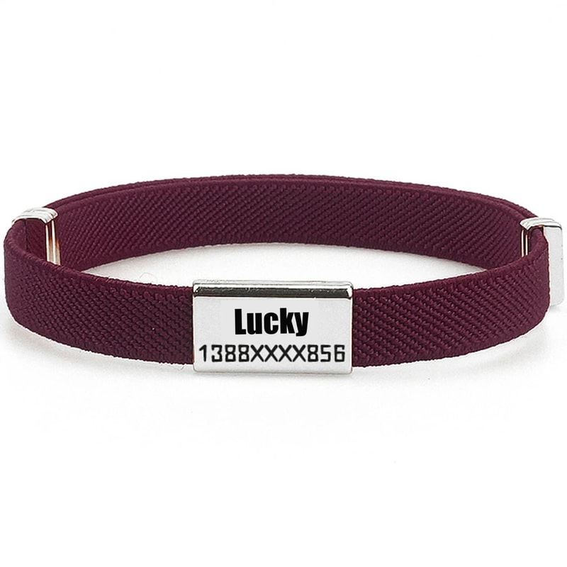 CustomEngraved SmartTag Safety Collar 15