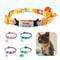 Signature Series Personalized Safety Collar 0