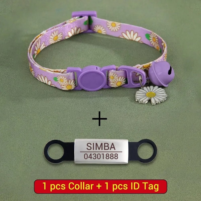 Signature Series Personalized Safety Collar 11
