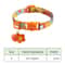 Signature Series Personalized Safety Collar 5