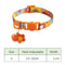 Signature Series Personalized Safety Collar 5