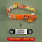 Signature Series Personalized Safety Collar 7