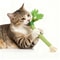 GardenFresh Realistic Celery Catnip Kicking Stick 0