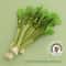 GardenFresh Realistic Celery Catnip Kicking Stick 1