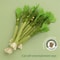 GardenFresh Realistic Celery Catnip Kicking Stick 1
