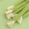 GardenFresh Realistic Celery Catnip Kicking Stick 3