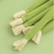 GardenFresh Realistic Celery Catnip Kicking Stick 3
