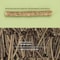 GardenFresh Realistic Celery Catnip Kicking Stick 5