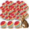 GravityDefying Rainbow EVA Bouncing Balls 0