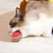 GravityDefying Rainbow EVA Bouncing Balls 1