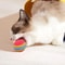 GravityDefying Rainbow EVA Bouncing Balls 1