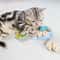 WildChase Natural Catnip Plush Mice 4