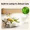 NatureEcho Interactive Chirping Songbird 3