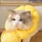 Sunflower Plush Elizabethan Recovery Collar 4