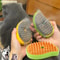 3in1 PureMist Electric Steamy Grooming Brush 1