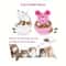 MouseHunt Interactive Treat Dispenser 5