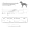 HeirloomFit Personalized Leather Cat Collar 5