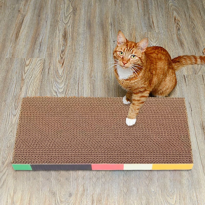 EcoCurve HighDensity Cardboard Scratch Lounge 4