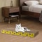 EcoCurve HighDensity Cardboard Scratch Lounge 8