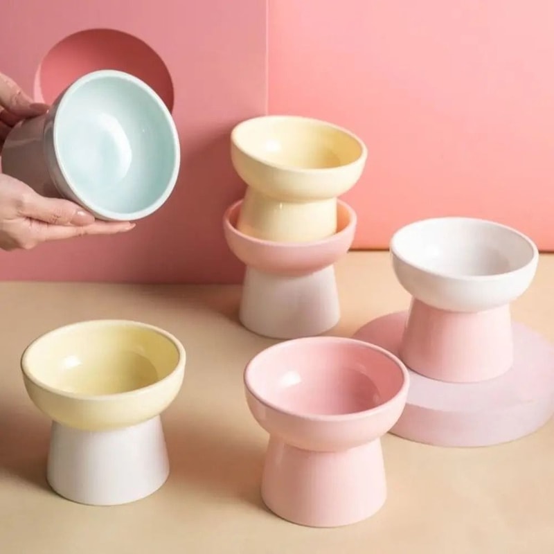 ZenithCurve Elevated Ceramic Feeding Dish 0