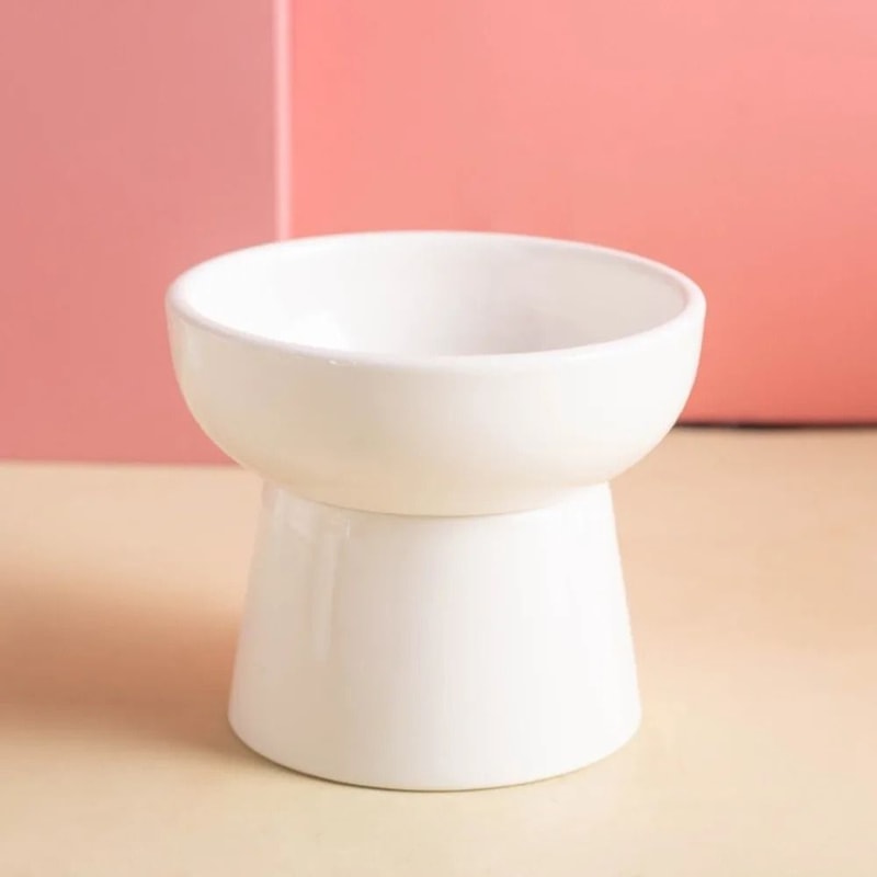 ZenithCurve Elevated Ceramic Feeding Dish 1